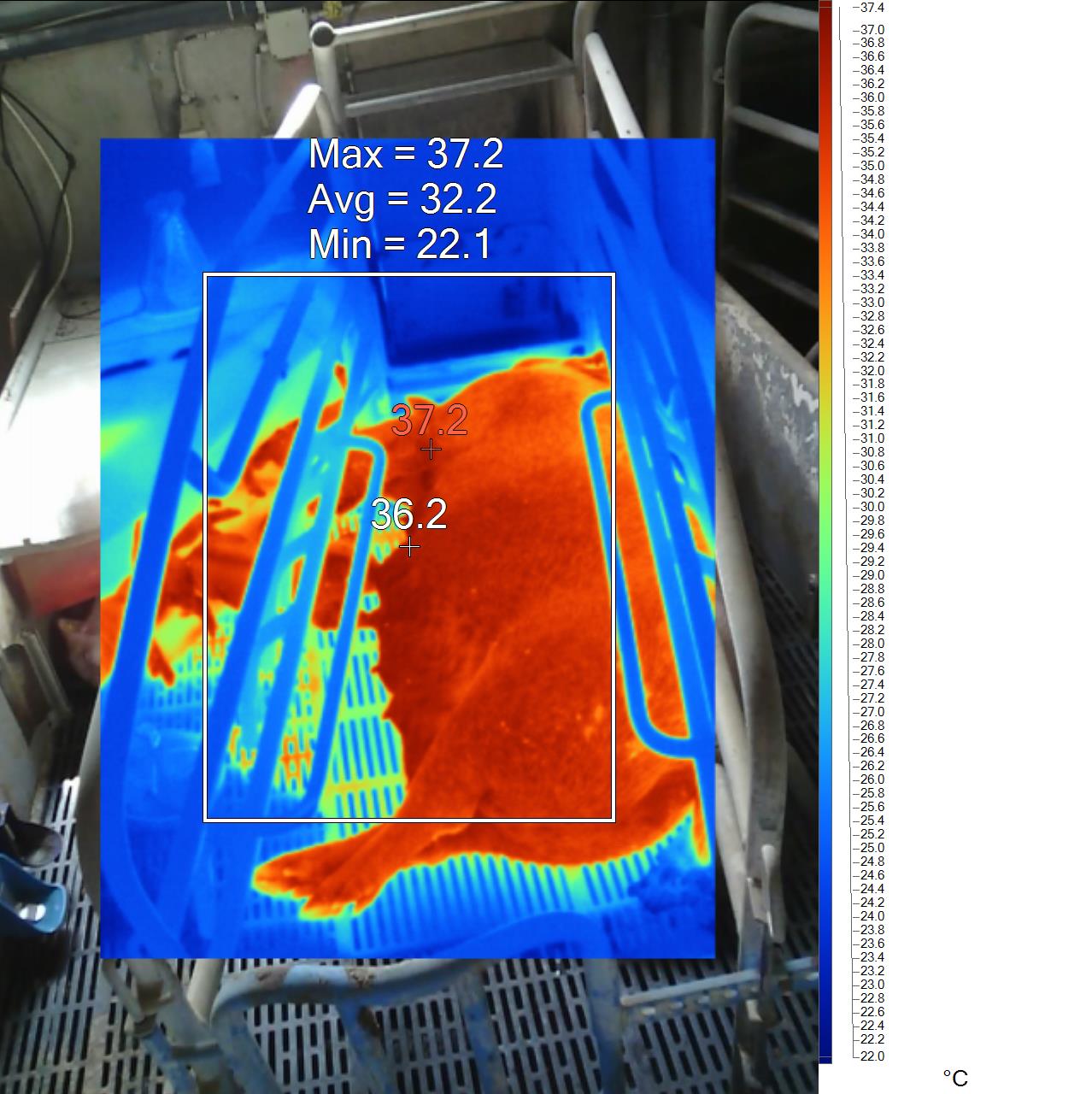 The Cost of Heat Stress in Pig Herds